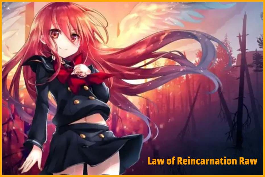 Are There Any Spin-Offs or Related Works Connected to “The Law of Reincarnation Raw