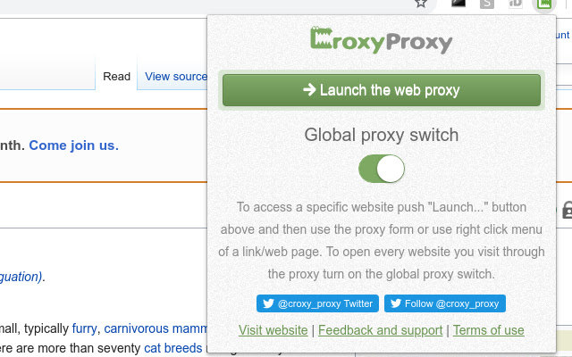Understanding CroxyProxy